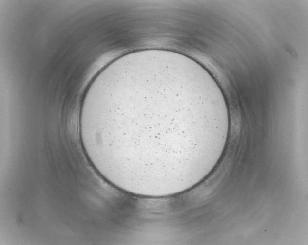 X0000115231294200911271814