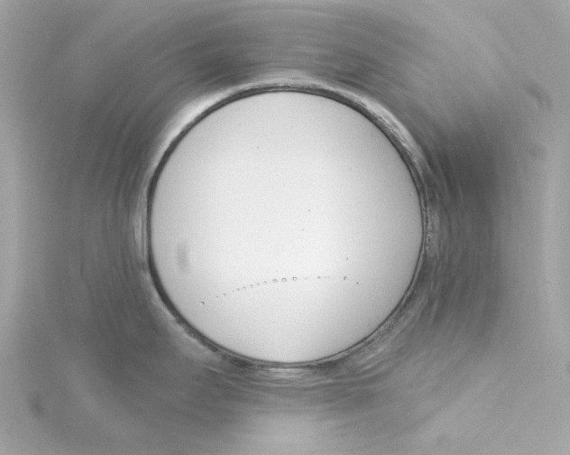 X0000115231295200911271814