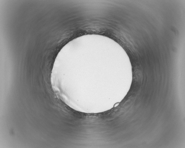 X0000115231297200911271814