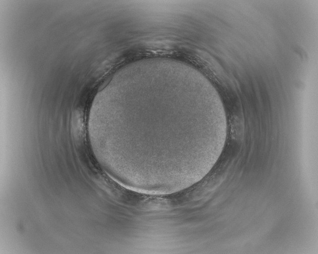 X0000115231298200911271814