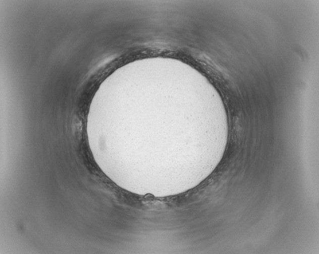 X0000115231302200911271814