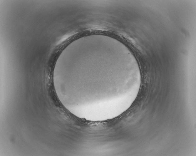 X0000115231303200911271814