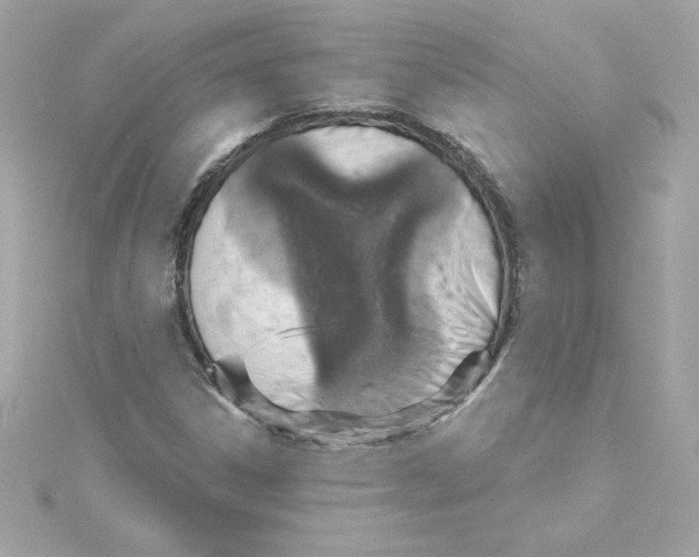 X0000115231306200911271814