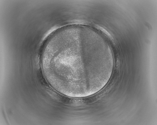 X0000115231310200911271814