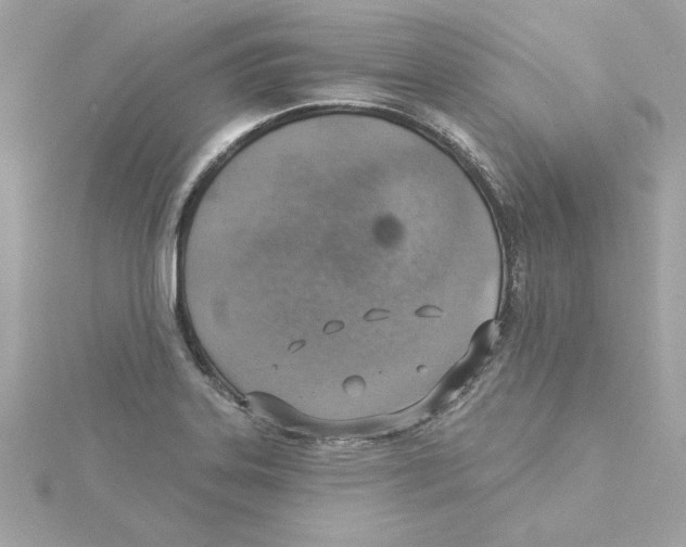 X0000115231323200911271814