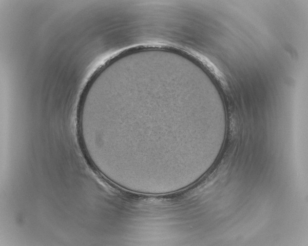 X0000115231327200911271814