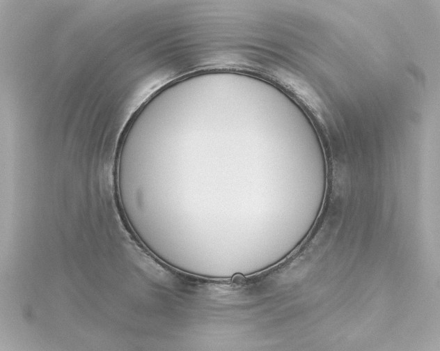 X0000115231330200911271814