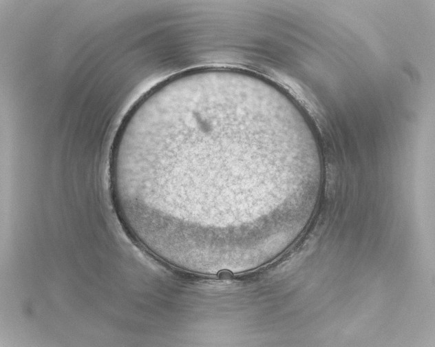 X0000115231331200911271814