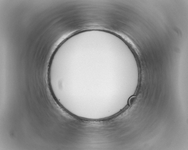 X0000115231333200911271814