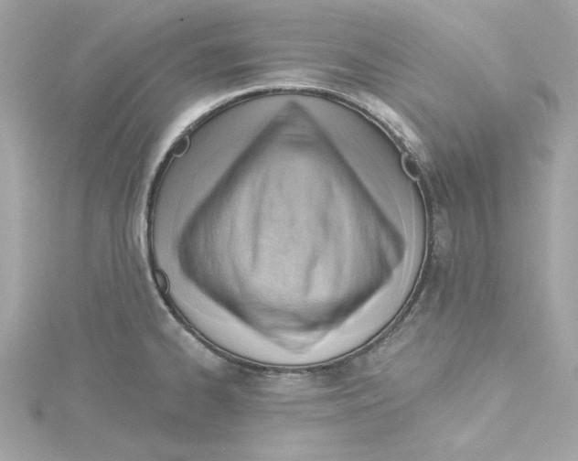 X0000115231334200911271814