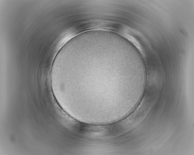 X0000115231338200911271814