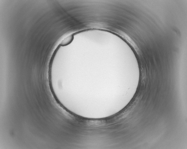 X0000115231339200911271814