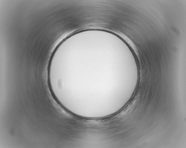 X0000115231341200911271814