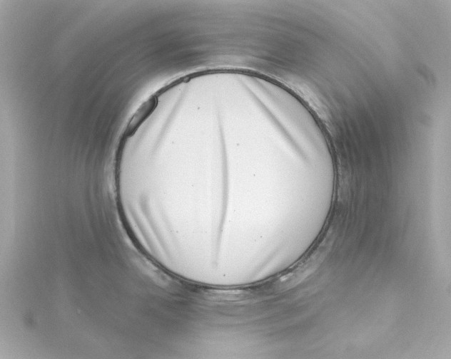 X0000115231342200911271814