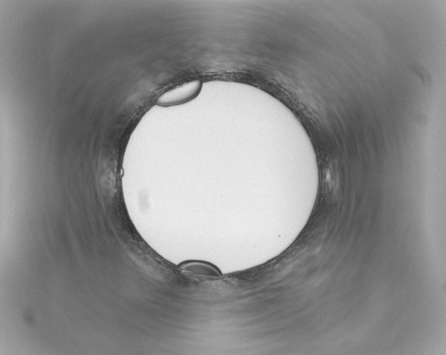 X0000115231348200911271814