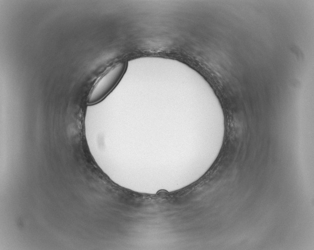 X0000115231349200911271814