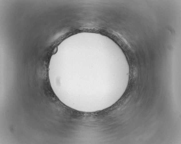 X0000115231350200911271814