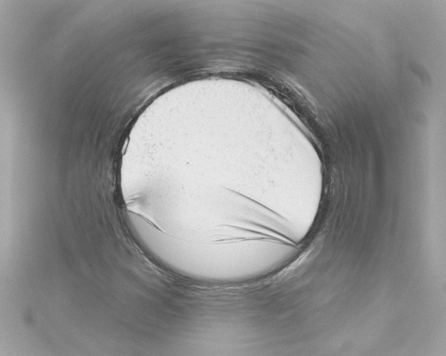 X0000115231353200911271814