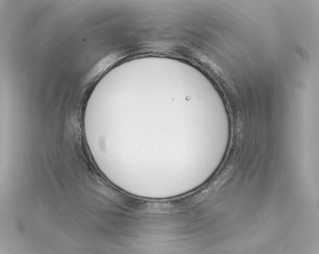 X0000115231354200911271814