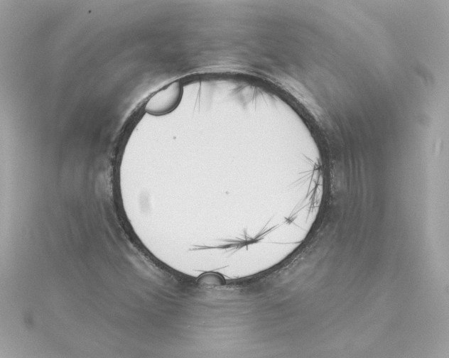 X0000115231356200911271813