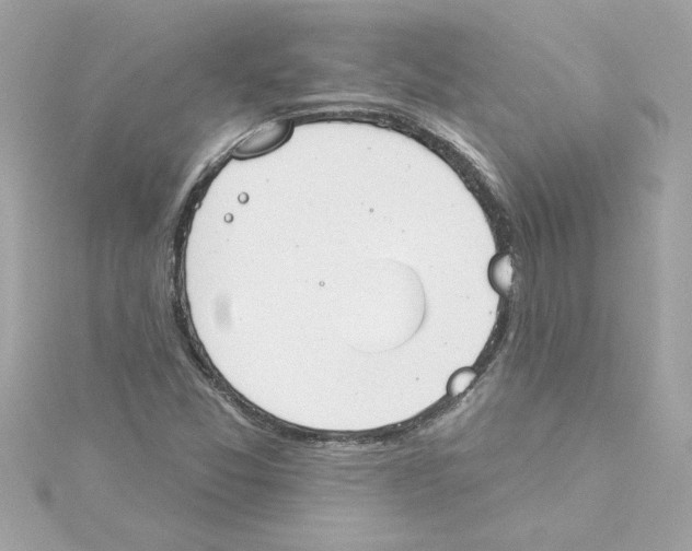 X0000115231357200911271813