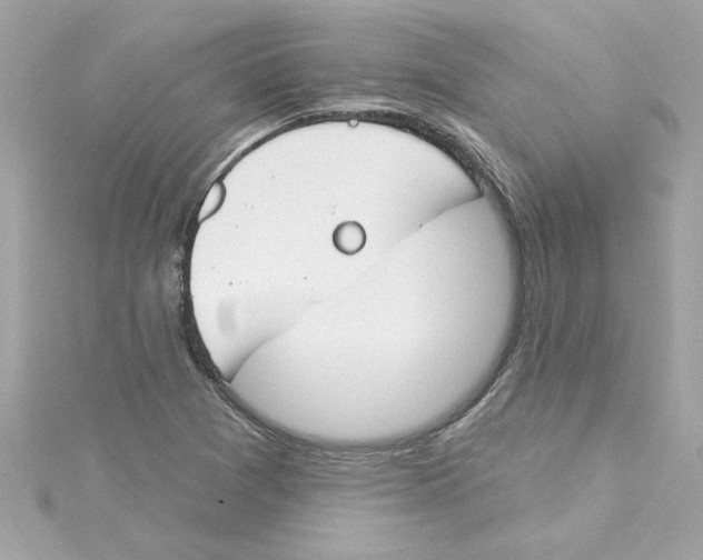 X0000115231361200911271813