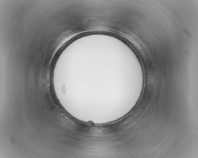 X0000115231364200911271813