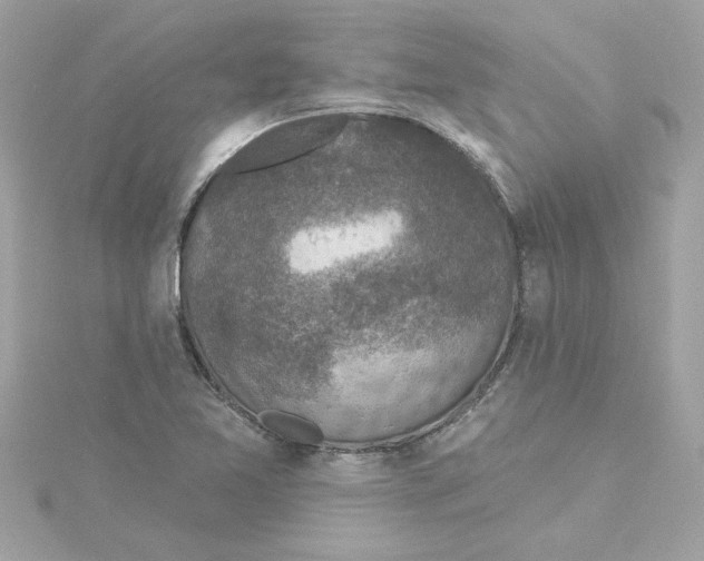 X0000115231365200911271813