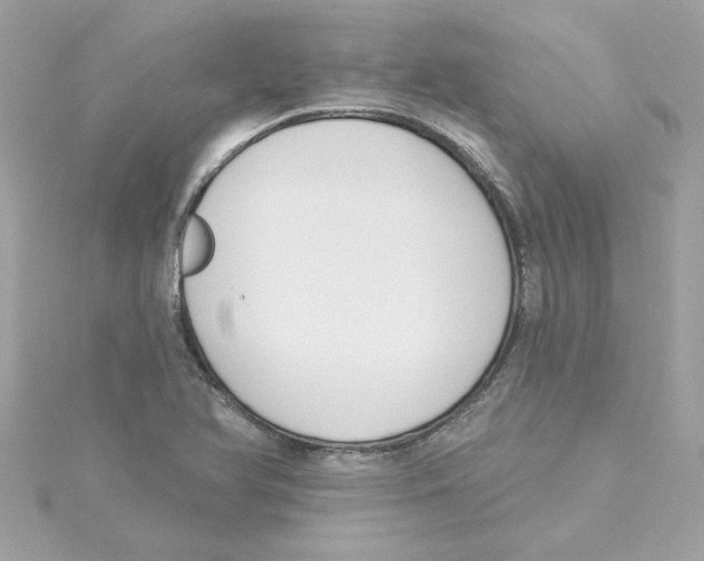 X0000115231366200911271813