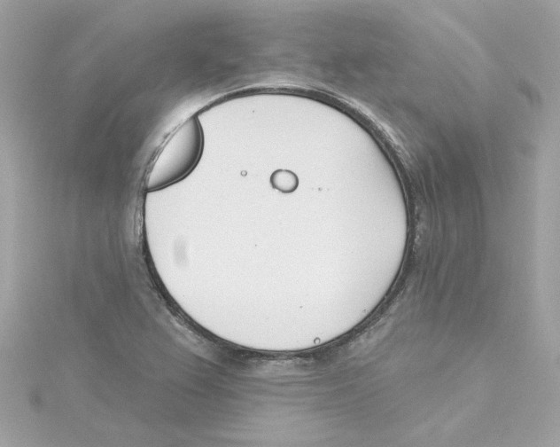 X0000115231367200911271813