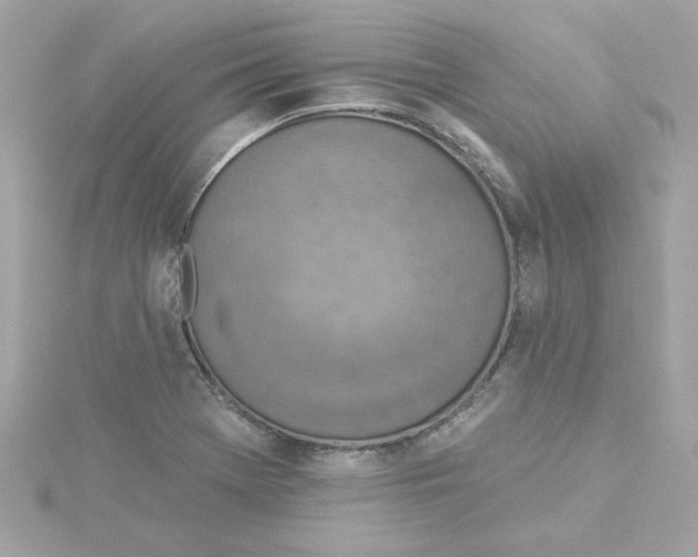 X0000115231369200911271813