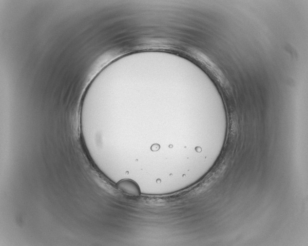 X0000115231370200911271813