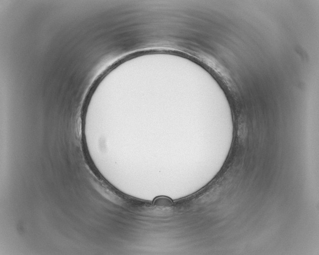 X0000115231372200911271813