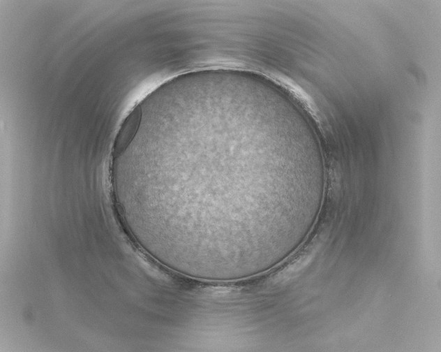 X0000115231373200911271813