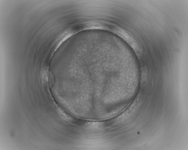 X0000115231377200911271813