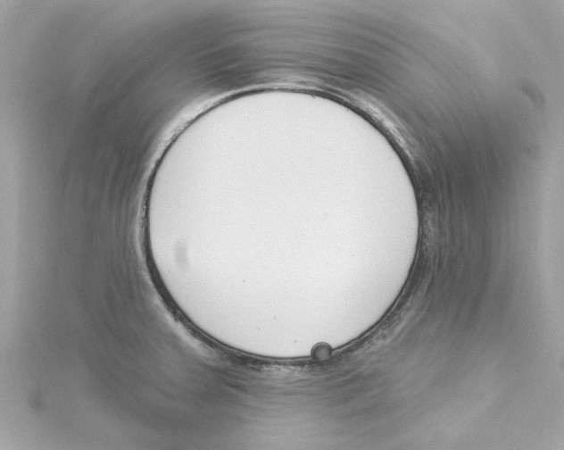 X0000115231379200911271813