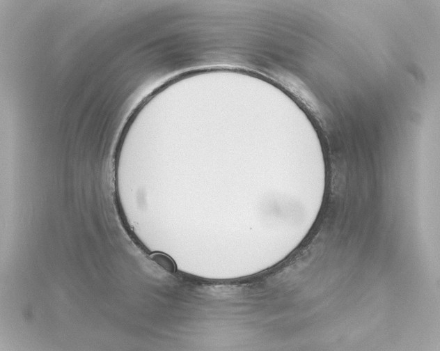 X0000115231380200911271813