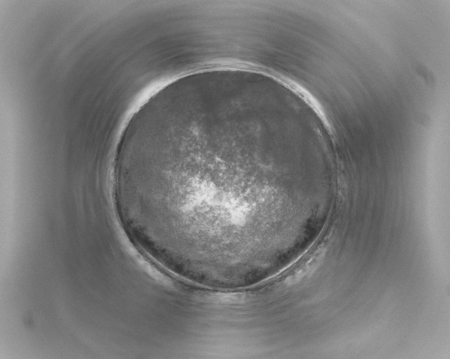 X0000115231381200911271813