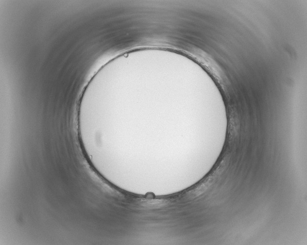 X0000115231382200911271813