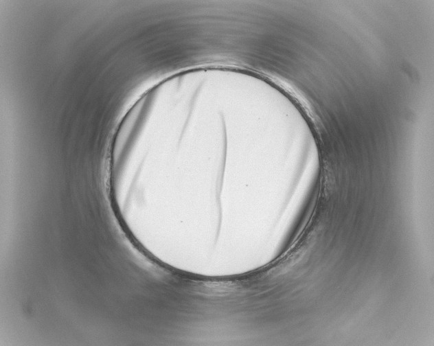 X0000115231383200911271813