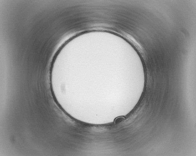 X0000115231384200911271813