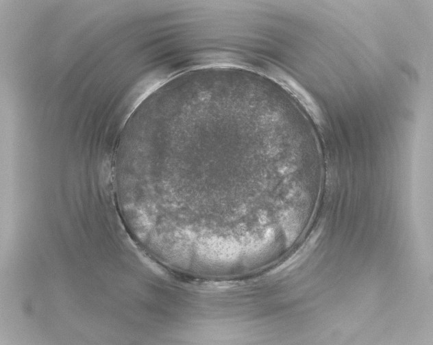 X0000115231385200911271813