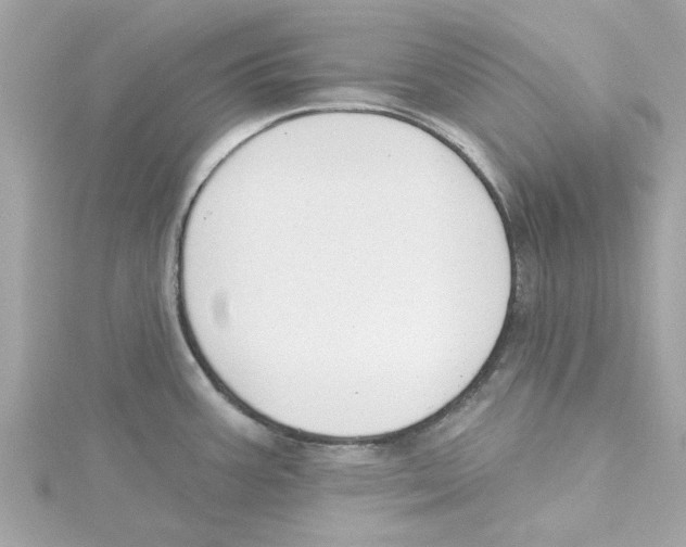 X0000115231387200911271813