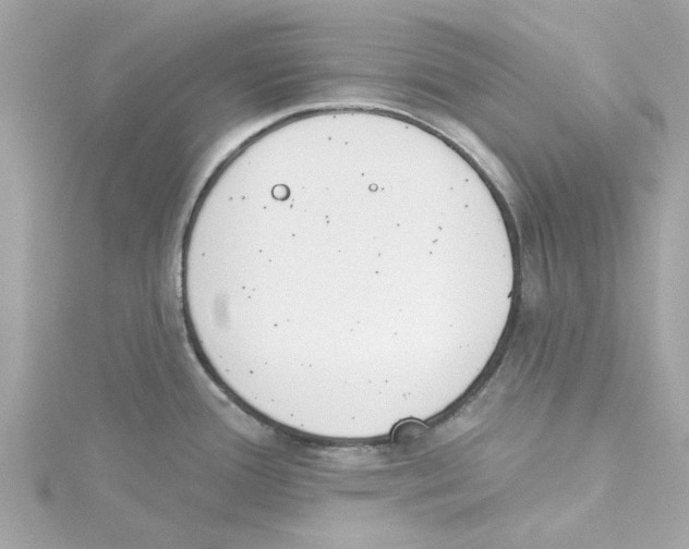 X0000115231388200911271813