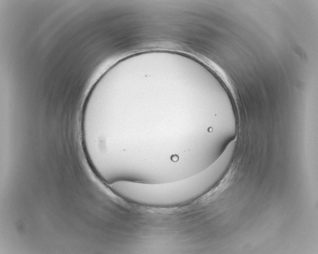 X0000115231389200911271813