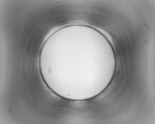 X0000115231390200911271813