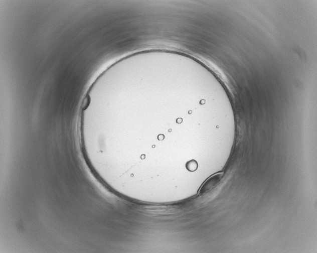 X0000115231391200911271813