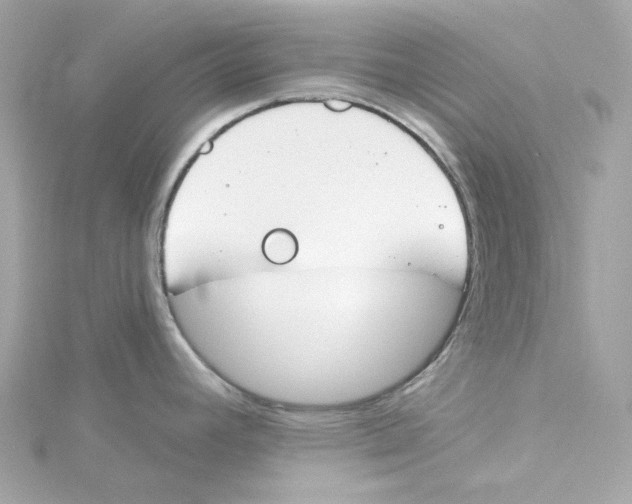 X0000115231392200911271813