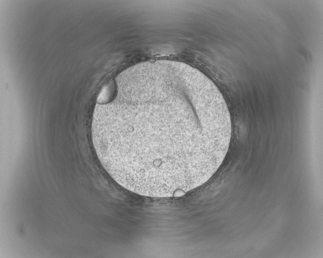 X0000115231393200911271812