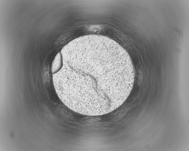 X0000115231394200911271812